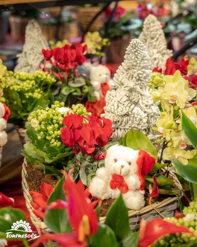 Pots décoratifs avec fleurs rouges et blanches et peluche ours blanc.
